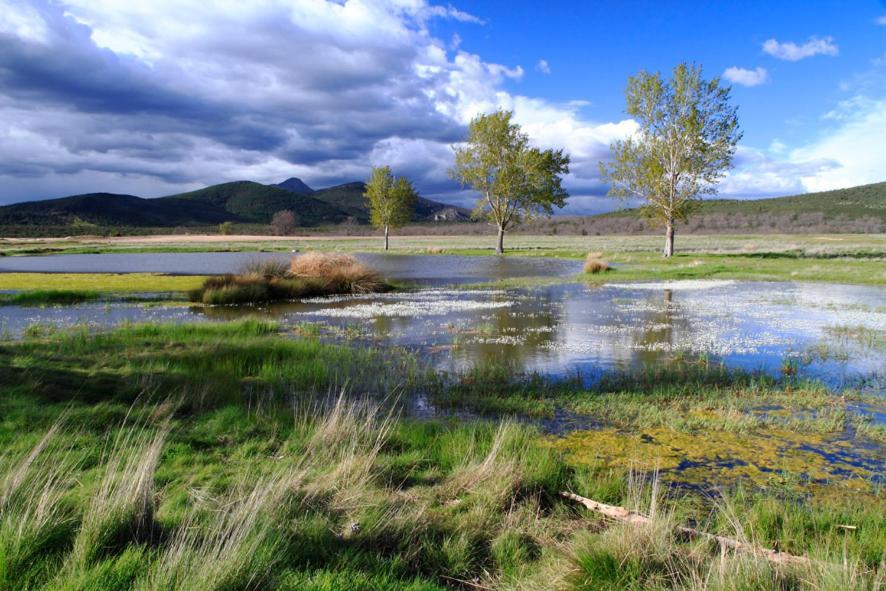 Casa Rural, Spa Y Restaurante El Huerto Del Abuelo Almiruete Екстер'єр фото